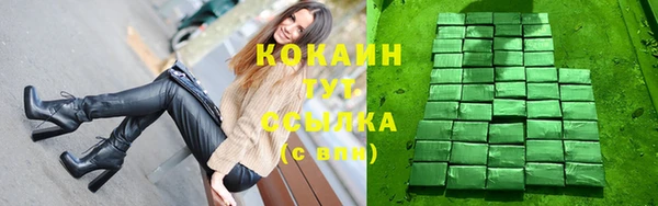 прущие грибы Баксан