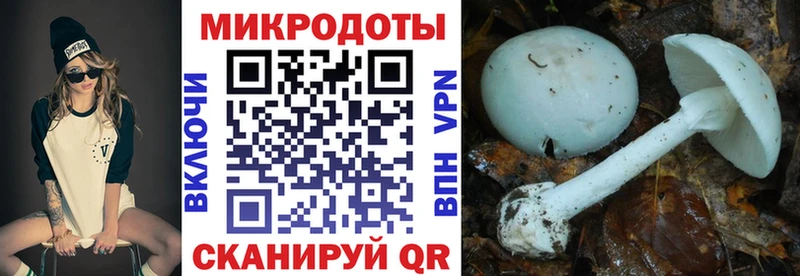 Галлюциногенные грибы Cubensis  как найти наркотики  Новый Оскол 